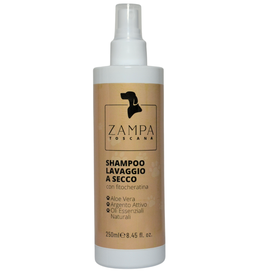Shampoo lavaggio a secco